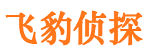 大埔市私人侦探